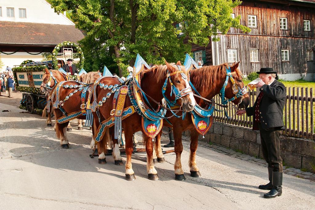 Landhaus Cornelia Bad Birnbach Dış mekan fotoğraf